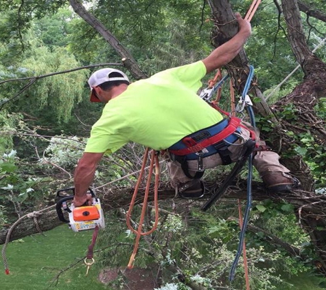 Timberland Tree Service - Broadview Heights, OH