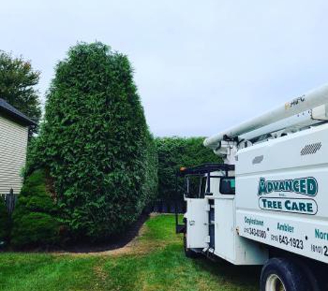 Advanced Tree Care - Ambler, PA