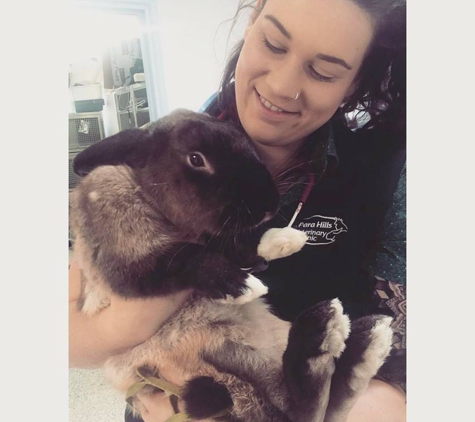 Para Hills Veterinary Clinic - Para Hills, SA
