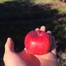 Minnesota Harvest - Orchards