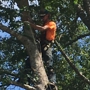 JWoods Tree Service