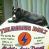 Thunderbolt Mobile Auto Detail gallery