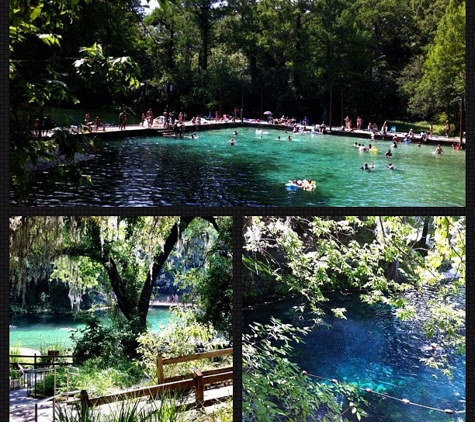 Fanning Springs State Park - Fanning Springs, FL