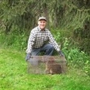 Jamco Wildlife Control - Pest Control Services