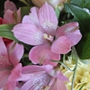 Calaveras Floral & Gifts gallery