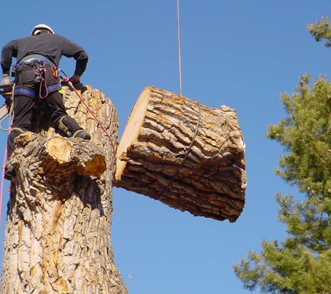 Arbor Tree Care - Spokane, WA