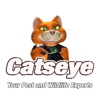 Catseye Pest Control - Norwalk, CT gallery