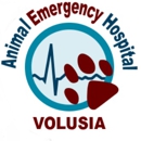 Animal Emergency Hospital- Volusia LLC - Veterinarians