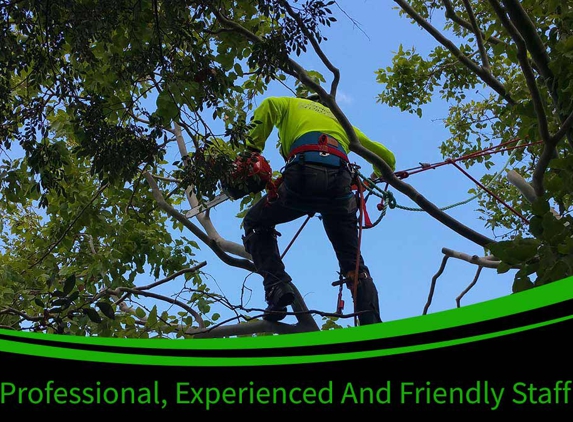Bell's Tree Service - Oxley Vale, NSW. Professional, Experienced & Friendly Staff