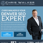 The SEO Expert