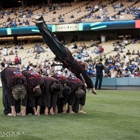 Kim's Hapkido Martial Art