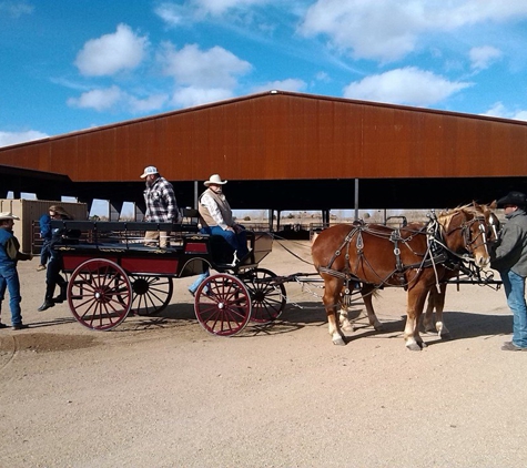 Lazy D Rockin P Ranch LLC-Carriages Rides & Rentals - Morristown, AZ