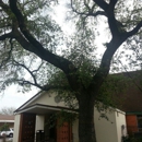 Holy Ghost Catholic Church - Old Catholic Churches