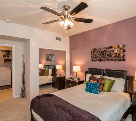 The Vineyards Apartment - Frisco, TX