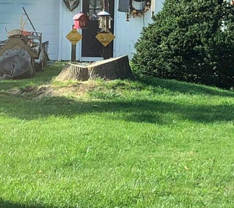 Brunty's Stump Grinding, L.L.C. - Mantua, OH