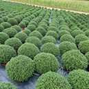 Reiff's Nursery & Greenhouses - Landscaping Equipment & Supplies
