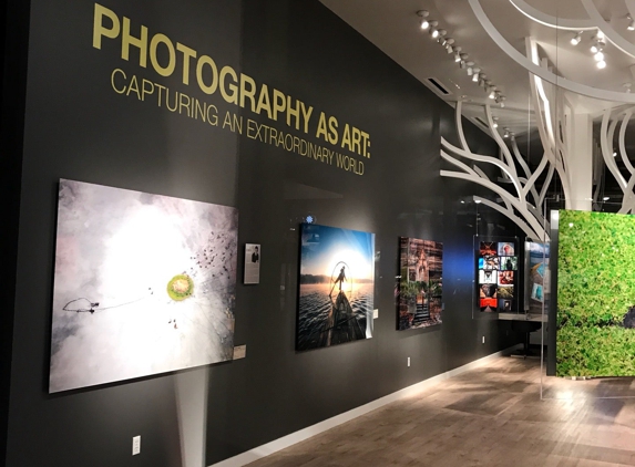 Artspace Gallery - Woodland Hills, CA