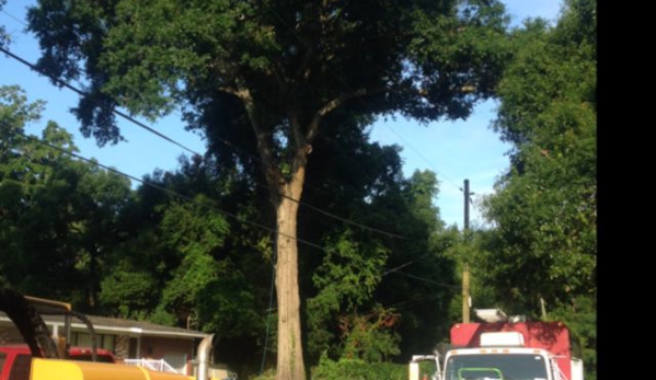 Big City Tree Service, Inc. - Jacksonville Beach, FL