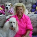 Judy's Poodle Parlor & Kennels - Pet Services