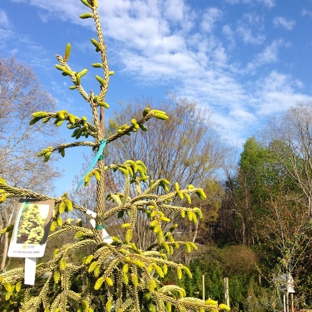 Bayberry Gardens & Landscaping