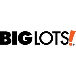 Big Lots - Brandon, FL