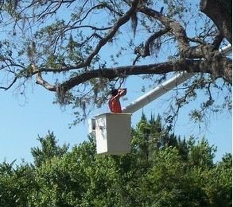 Island Tree Service - Sarasota, FL