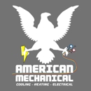 American Mechanical of Southwest Florida - Fireplaces