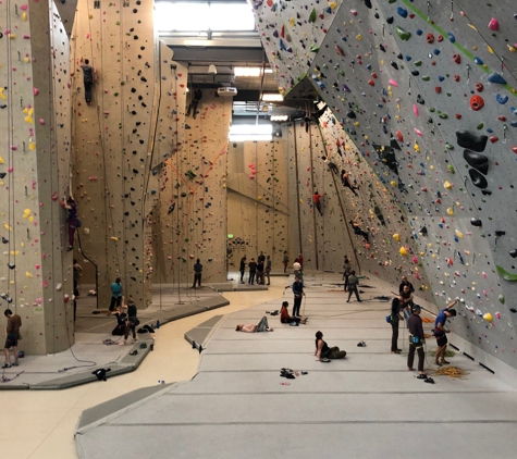 Movement Climbing & Fitness - Denver, CO