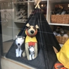 Canine Styles Uptown gallery