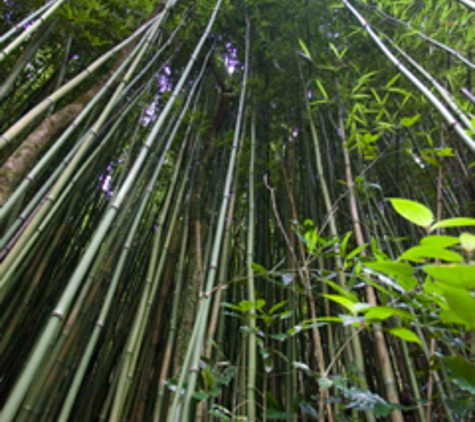 Maui Hiking Safaris - Makawao, HI