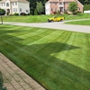 Cut the Grass Landscaping gallery