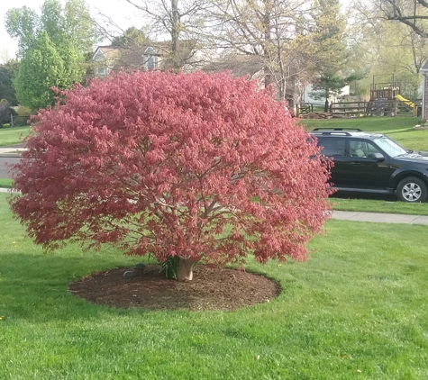 Landen's Landscape & Lawn Service - Dublin, PA