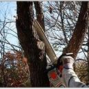 Aubrey's Tree Service & Landscaping - Sprinklers-Garden & Lawn