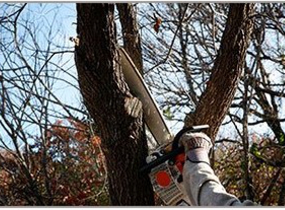Aubrey's Tree Service & Landscaping - Chesapeake, VA