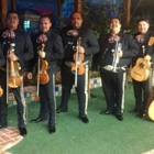 Mariachi Internacional Mariachisimo