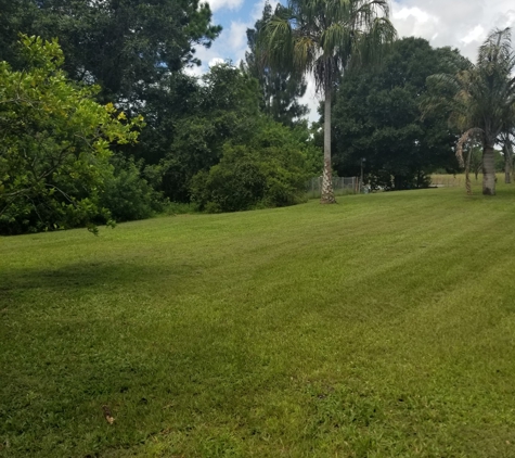 E Cut Lawn Care inc - Palm Bay, FL