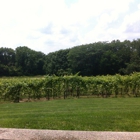 Cameo Vineyards