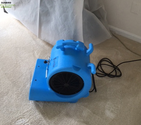 Annandale Carpet Cleaning - Annandale, VA. waterDamageRestorationDry