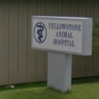 Yellowstone Animal Hospital