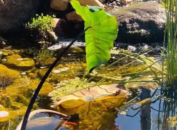 In-Depth Landscape Construction - Hume, ACT