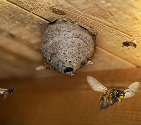 Sterling Pest Control Pty Ltd - Maroota, NSW