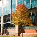 Geropsychiatry Clinic at Harborview - Mental Health Services