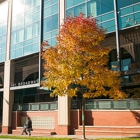 Mental Health Intake and Brief Intervention Services Clinic at Harborview