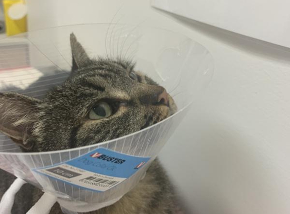 Secret Harbour Veterinary Clinic - Secret Harbour, WA. Here she is reading the sign Thankyou dr Beth !