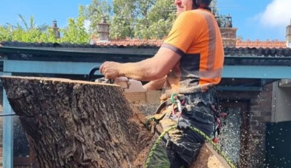Trees Company - Marrickville, NSW