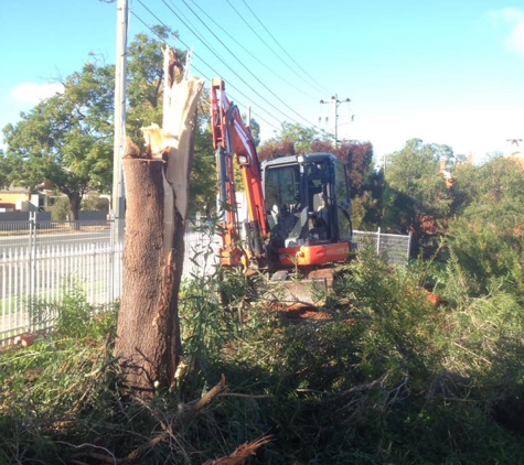 Eldridge Tree Service - Narrandera, NSW