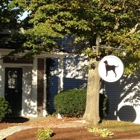 Black Dog Chatham General Store