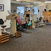 Access Physical Therapy & Wellness gallery