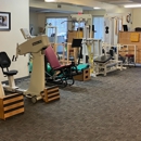 Access Physical Therapy & Wellness - Physical Therapy Clinics