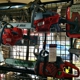 Gallo's Chain Saw Sales and Service